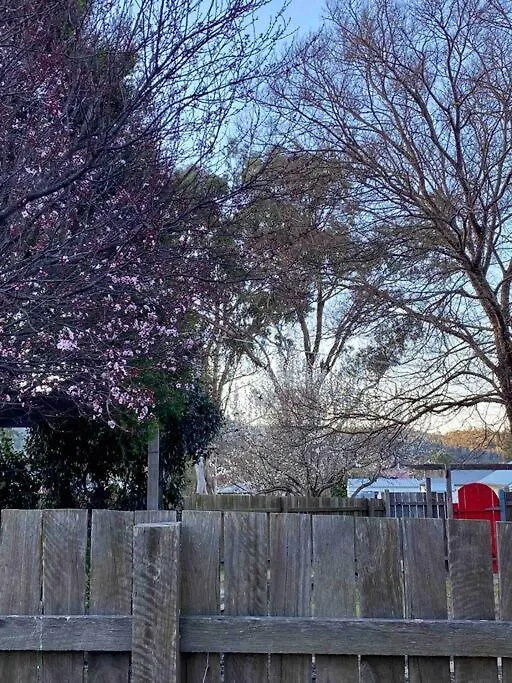 Charming Mid Century Bungalow- Entire Home Stanthorpe