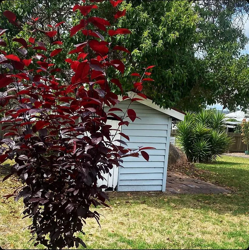 Charming Mid Century Bungalow- Entire Home Stanthorpe Semesterbostad
